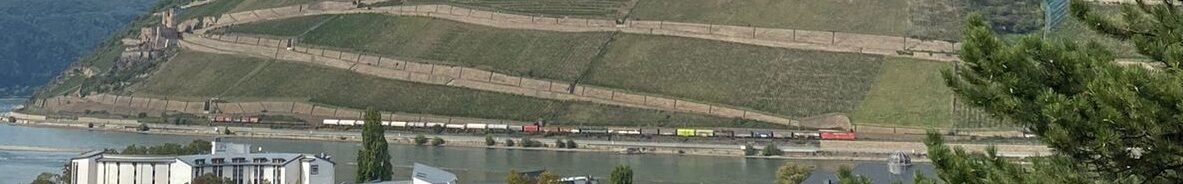 Blick auf Bingen, den Rhein und die Weinberge